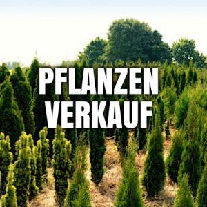 Gartenhof Becker Gartenbaumschule Obstbau Heinz Becker
